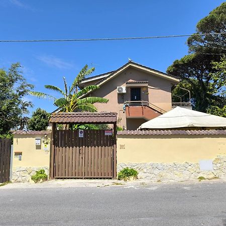Villa Rimini - Seaview & Roman Holidays Apartments - Garden&Beach 300Mt 안치오 외부 사진