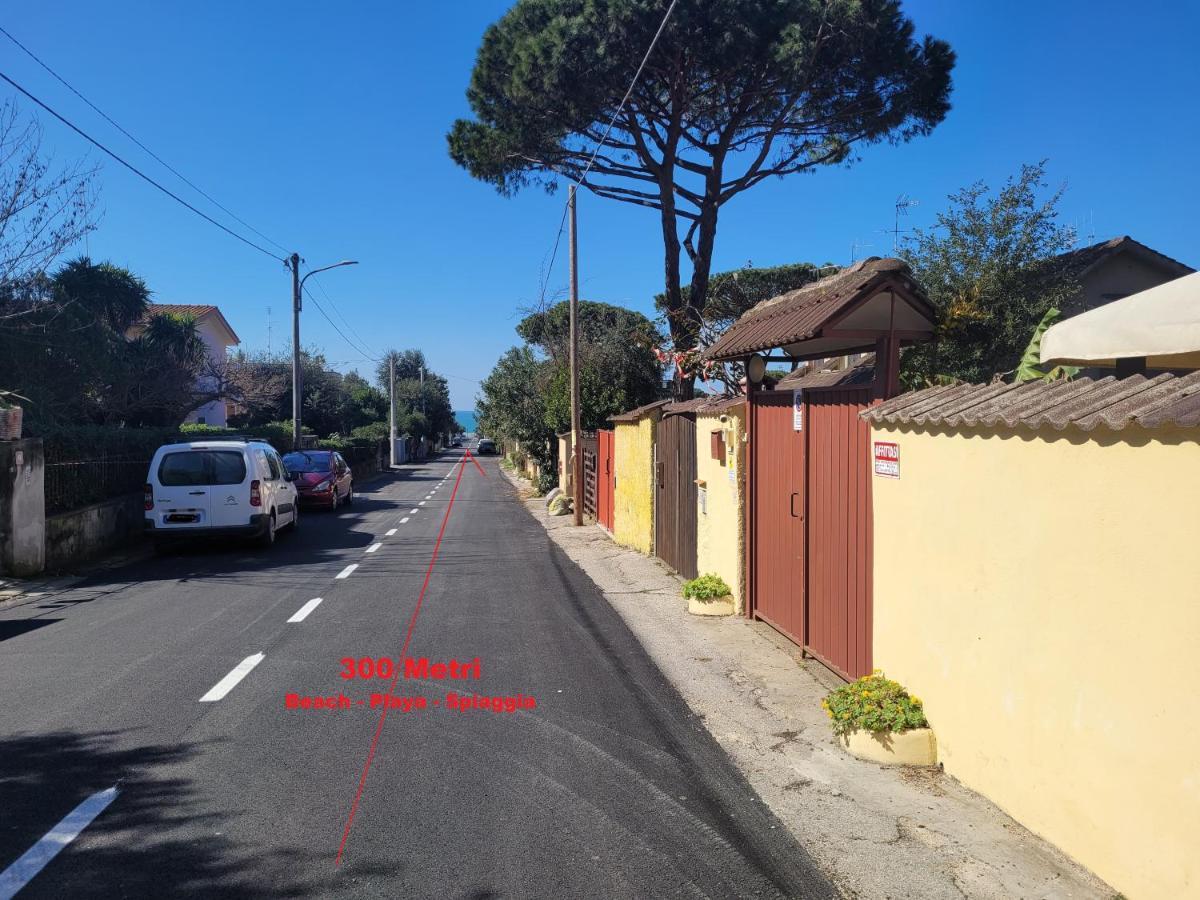 Villa Rimini - Seaview & Roman Holidays Apartments - Garden&Beach 300Mt 안치오 외부 사진