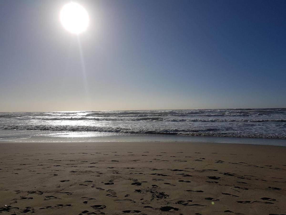 Villa Rimini - Seaview & Roman Holidays Apartments - Garden&Beach 300Mt 안치오 외부 사진